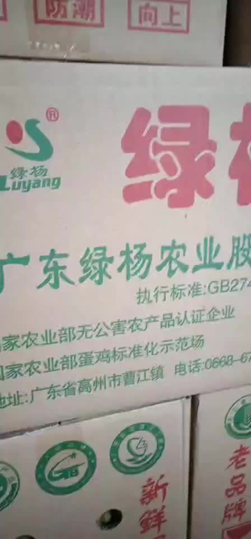 农贝贝兄弟的鸡蛋梧州市自提