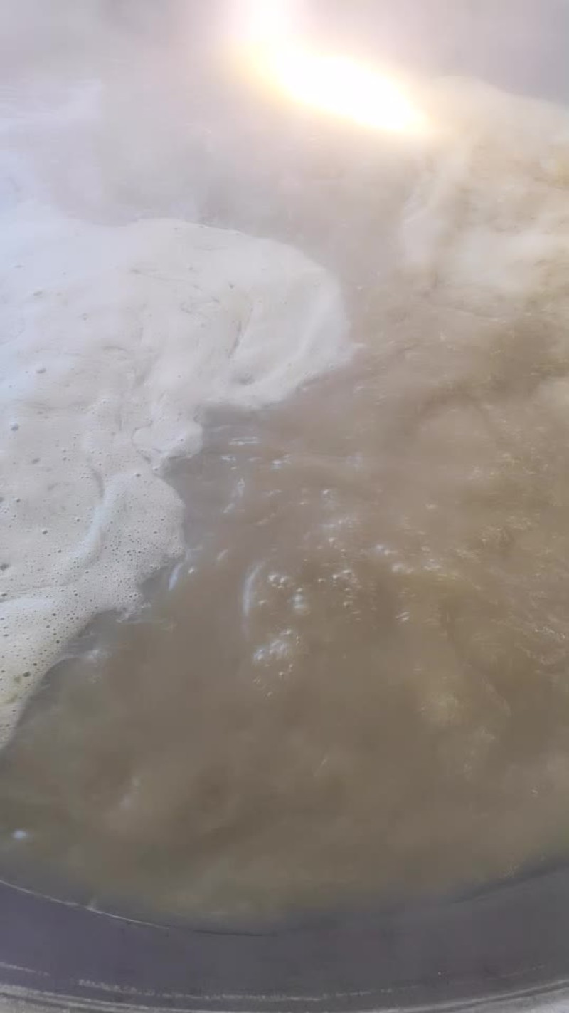 新糖出来了