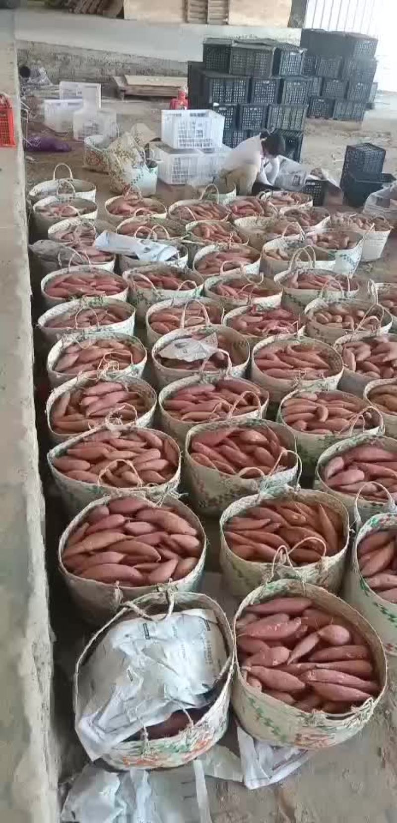 西瓜红