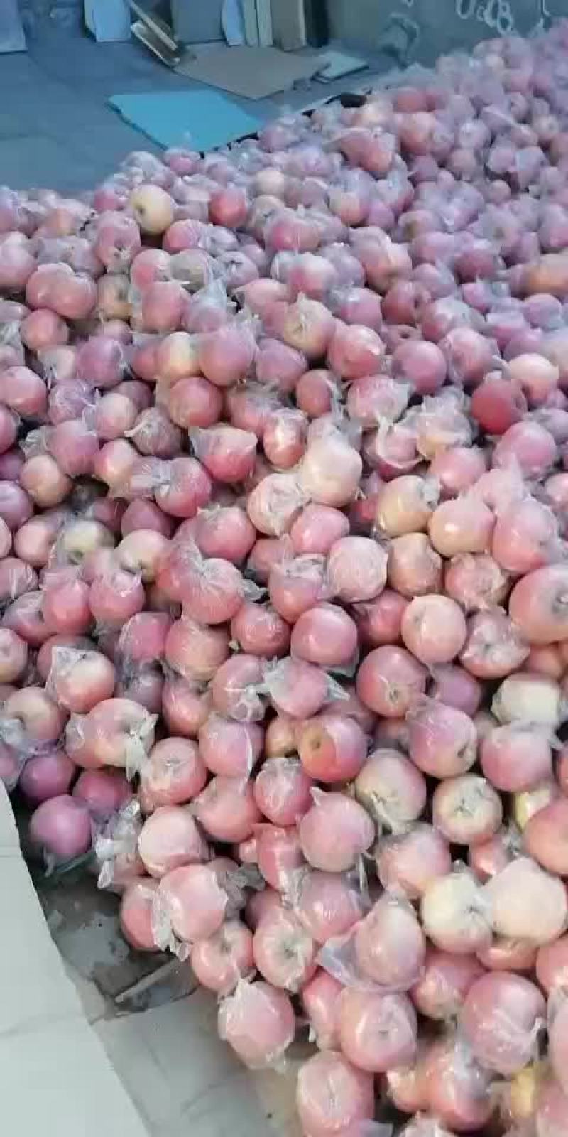 纸加膜富士熟了，口感好，欢迎客户前来选购