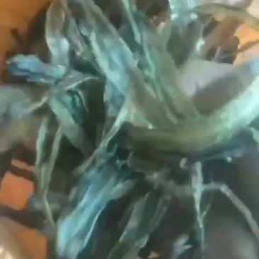 地龙