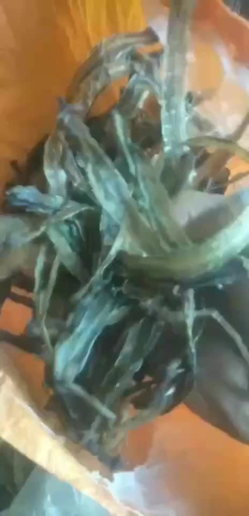 地龙