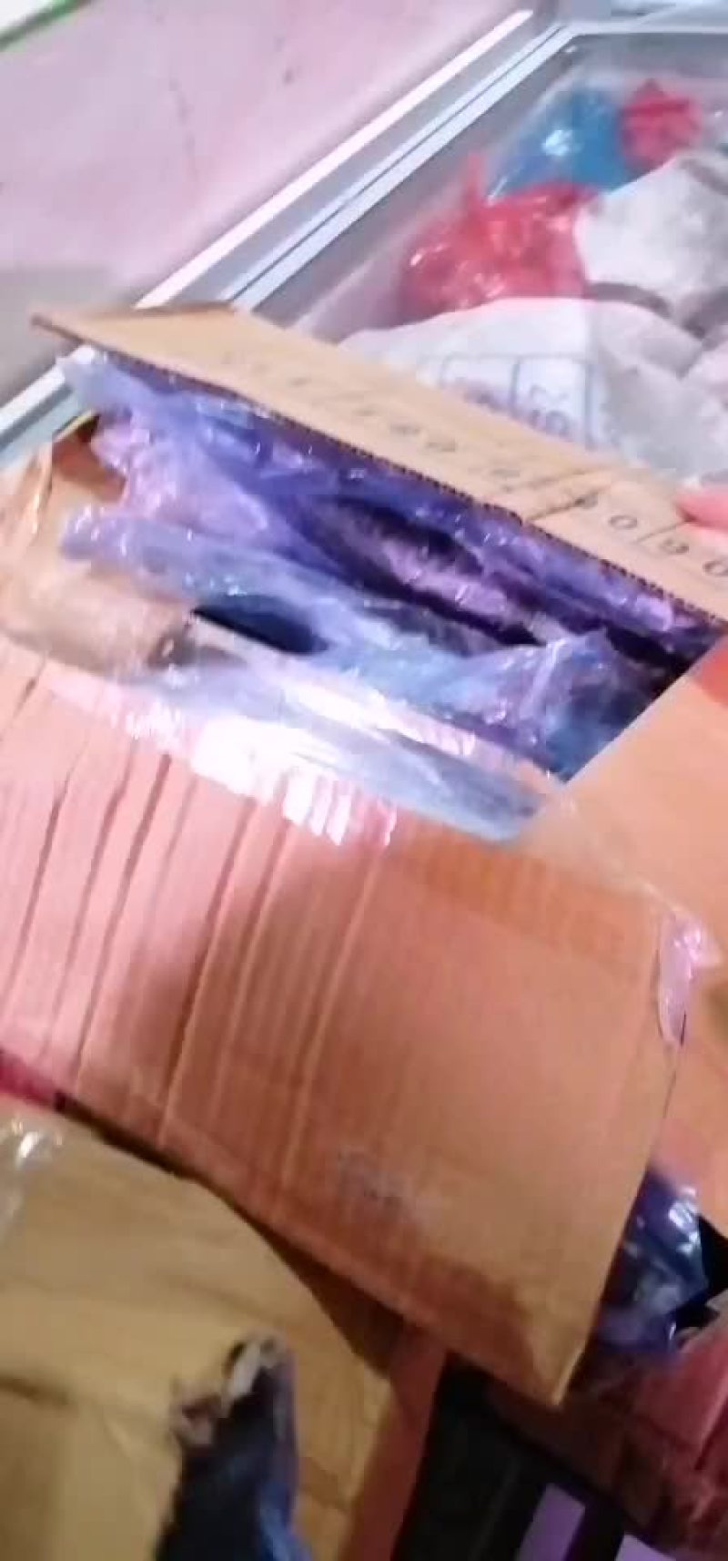 燕鲅鱼