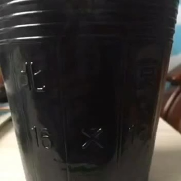 营养钵