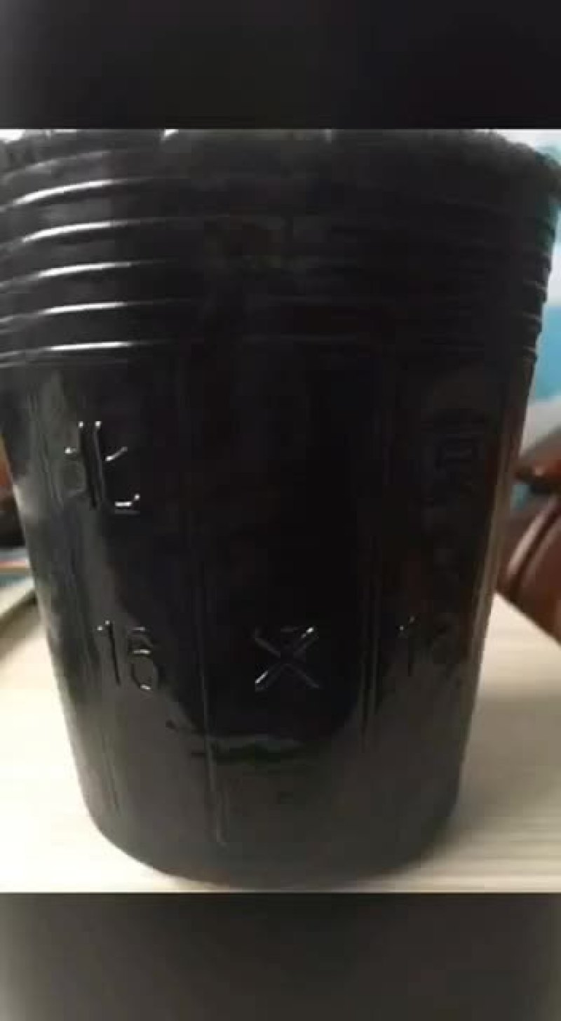 营养钵