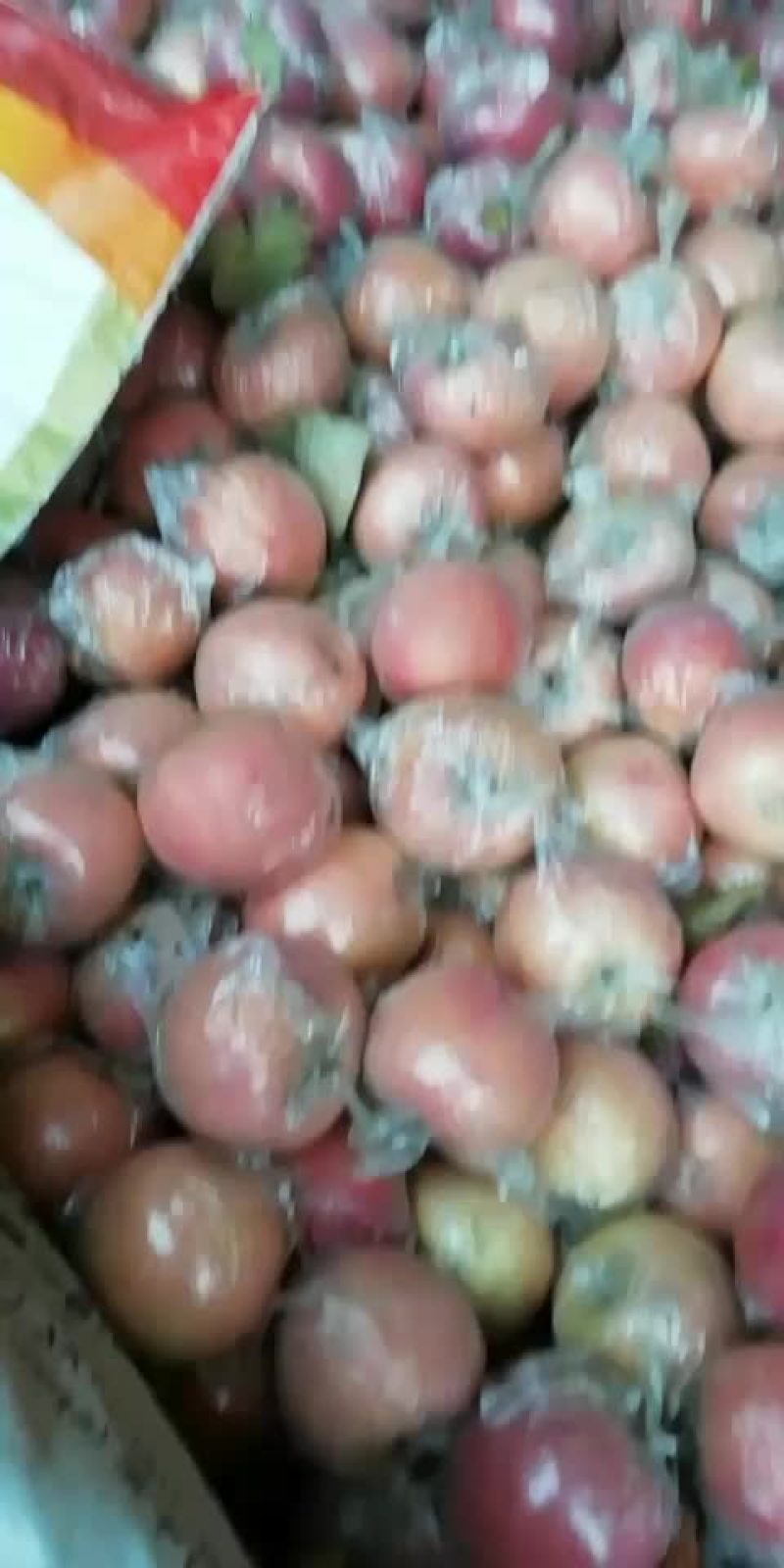 纸加膜富士