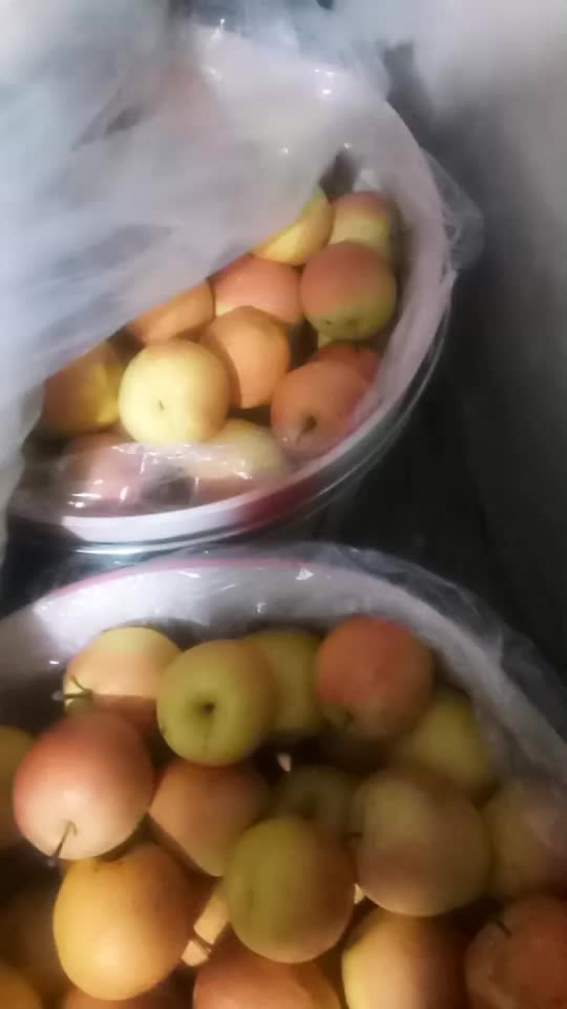 红肖梨