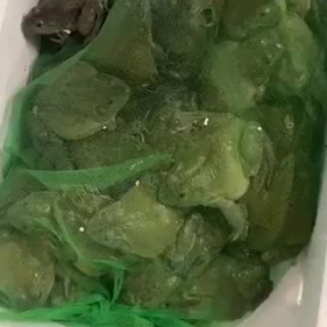 牛蛙批发
