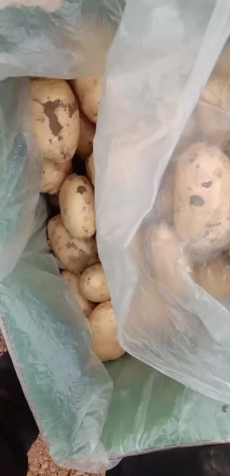荷兰