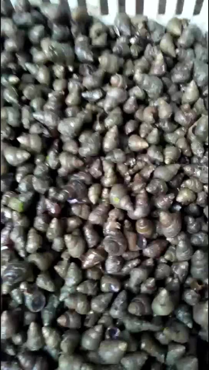 大量收购