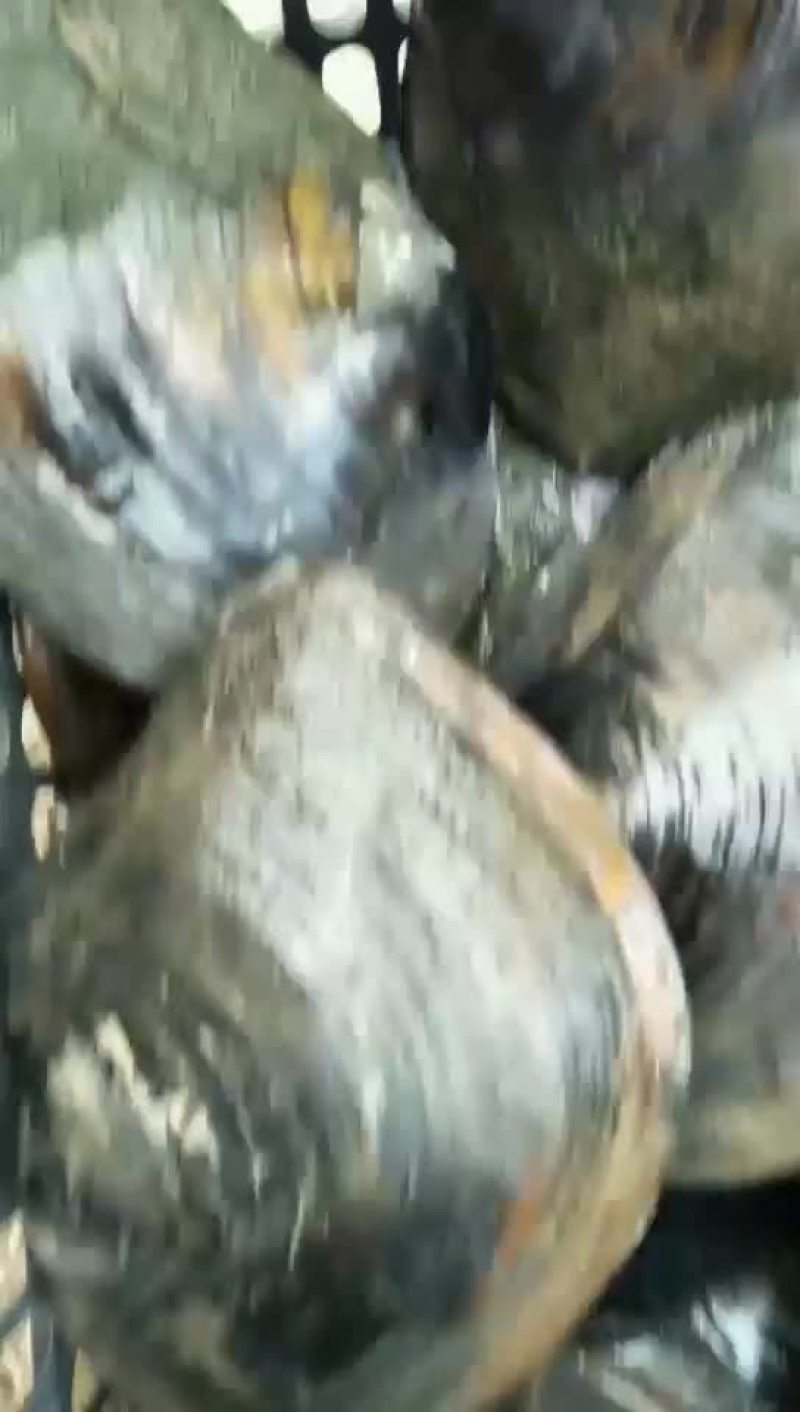 大量收购