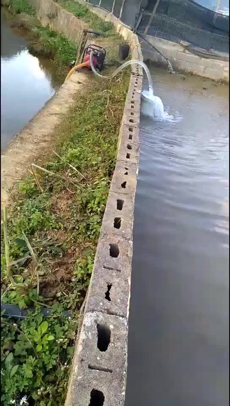 田螺塘