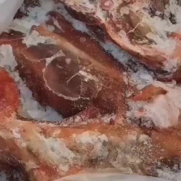 马肉马腱子蒙古马肉