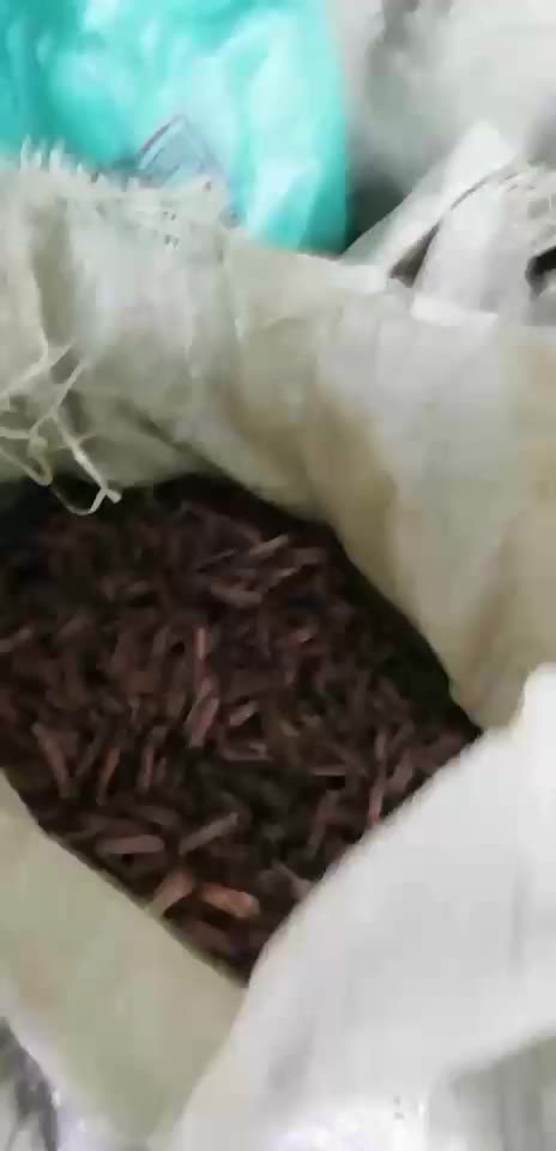 葛丁