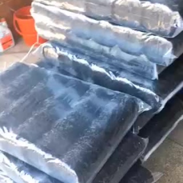 福建龙海头水紫菜