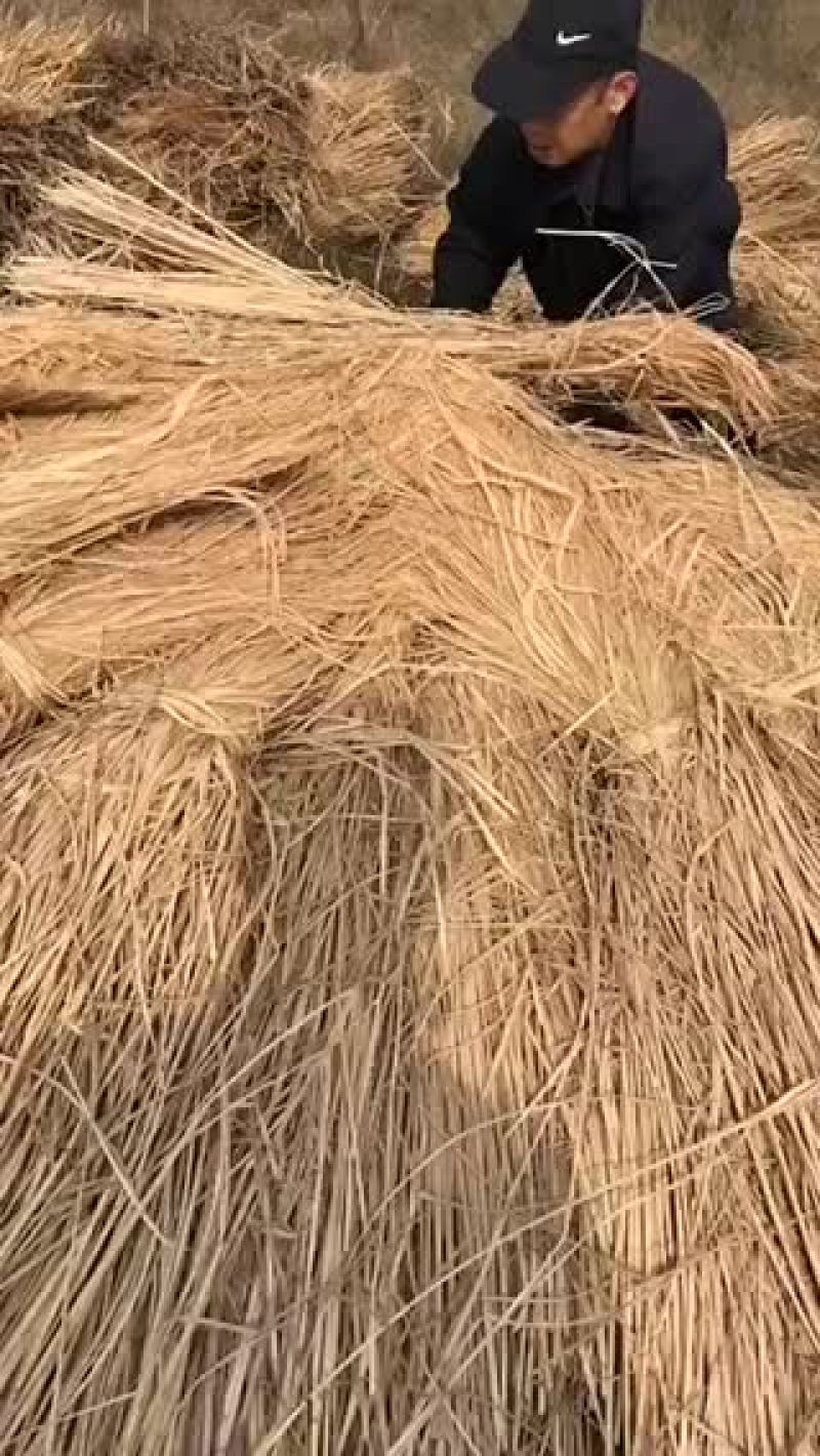 稻草