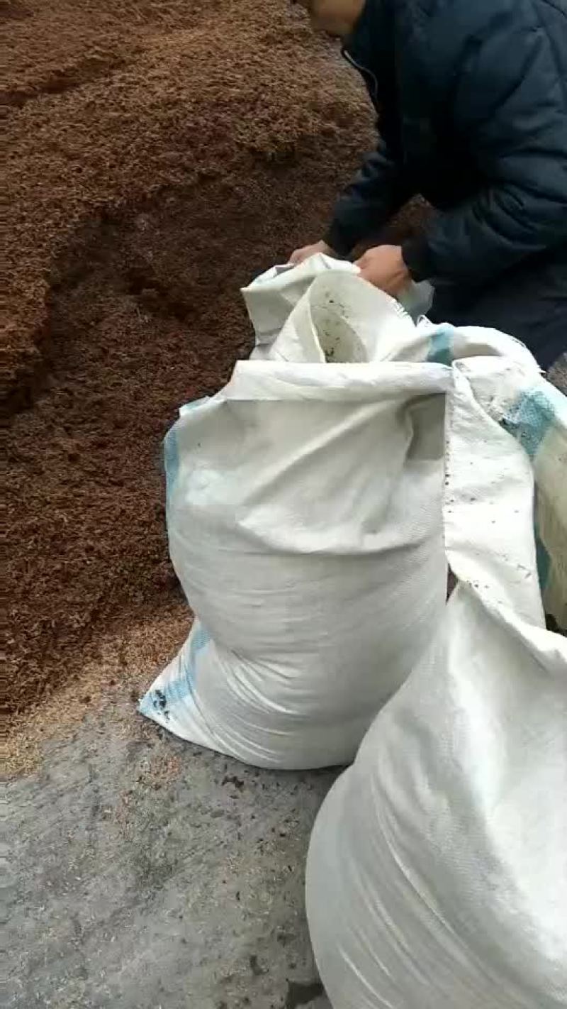酒糟