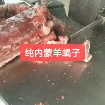羊蝎子