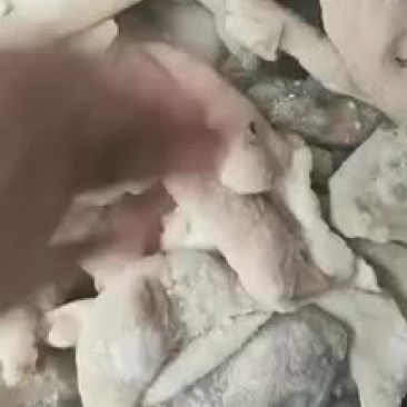 羊蛋皮