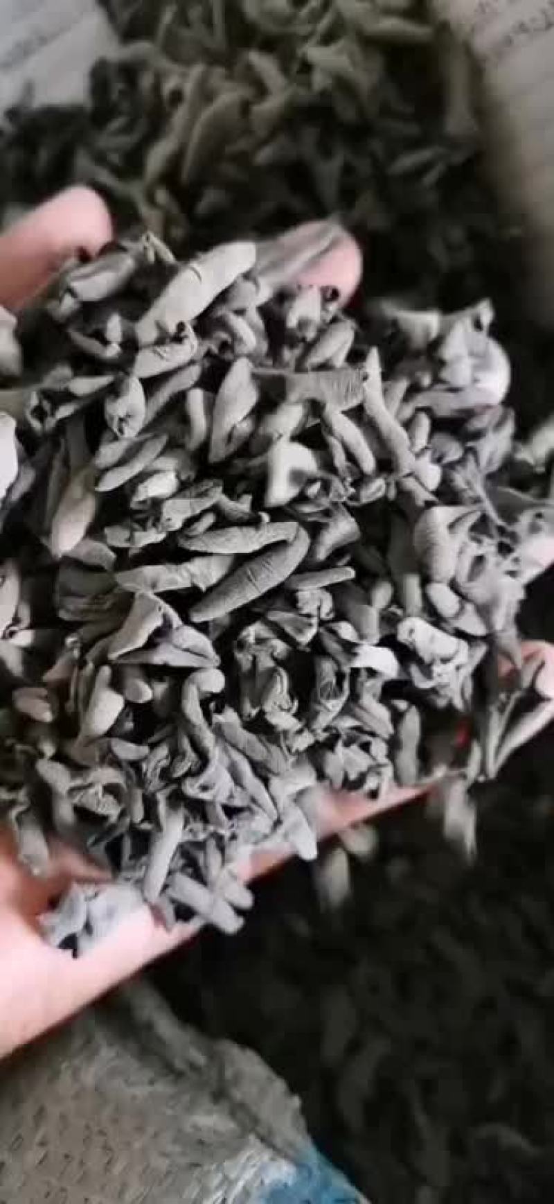 批发兼零售东北特产黑木耳