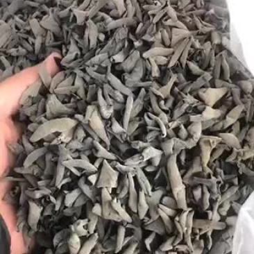 批发兼零售东北特产黑木耳