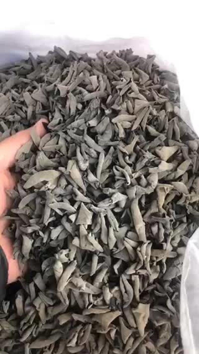 批发兼零售东北特产黑木耳