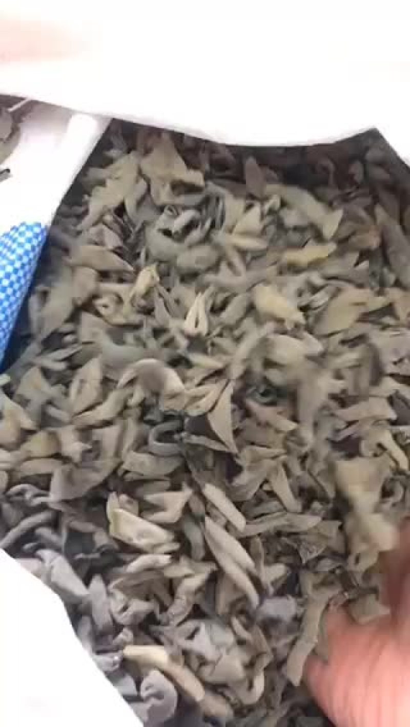 批发兼零售东北特产黑木耳