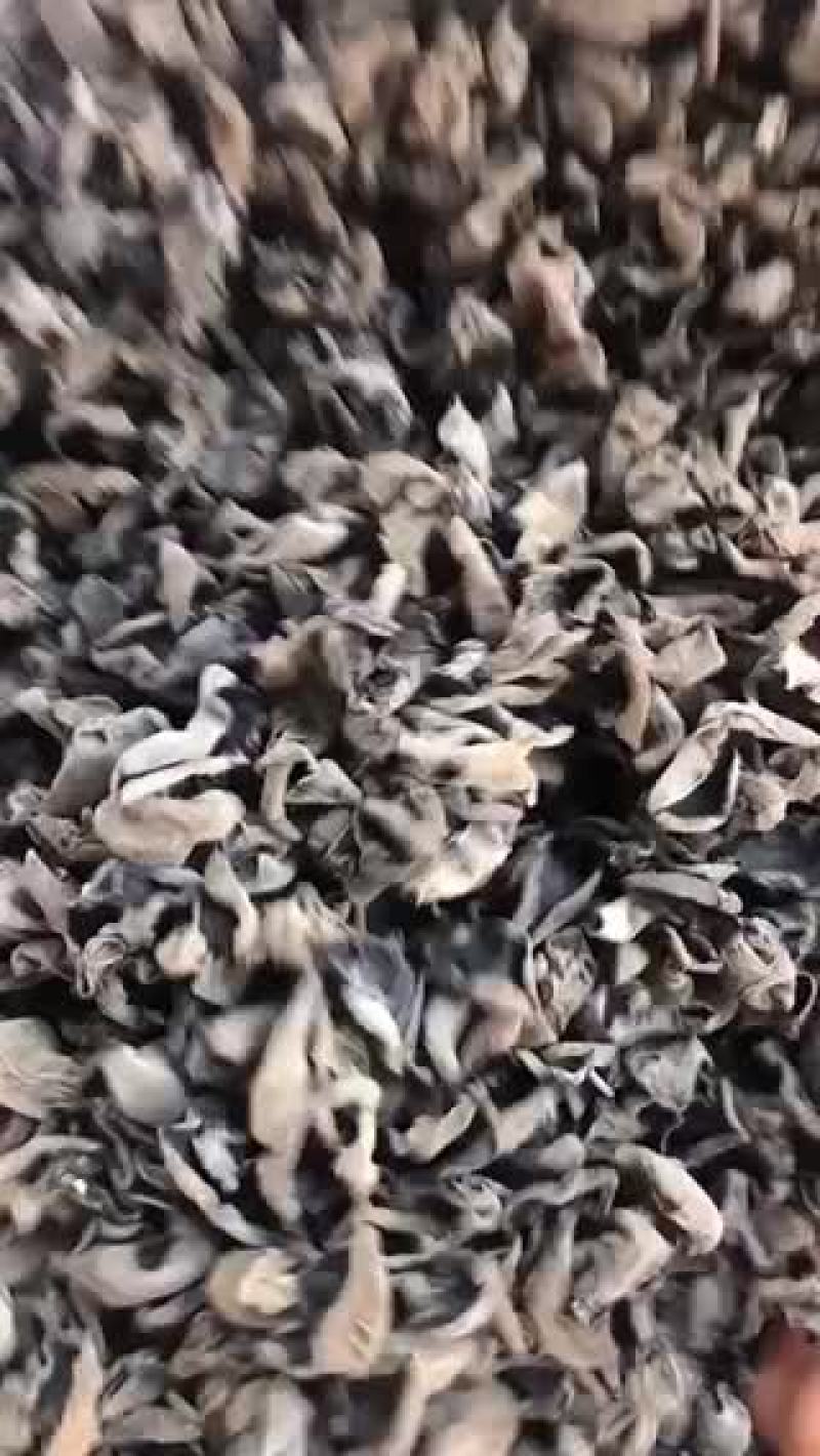批发兼零售东北特产黑木耳