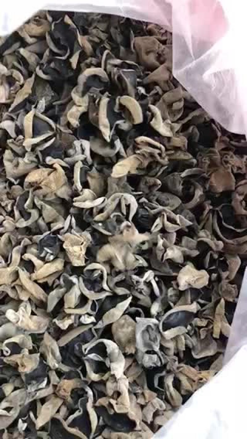 批发兼零售东北特产黑木耳