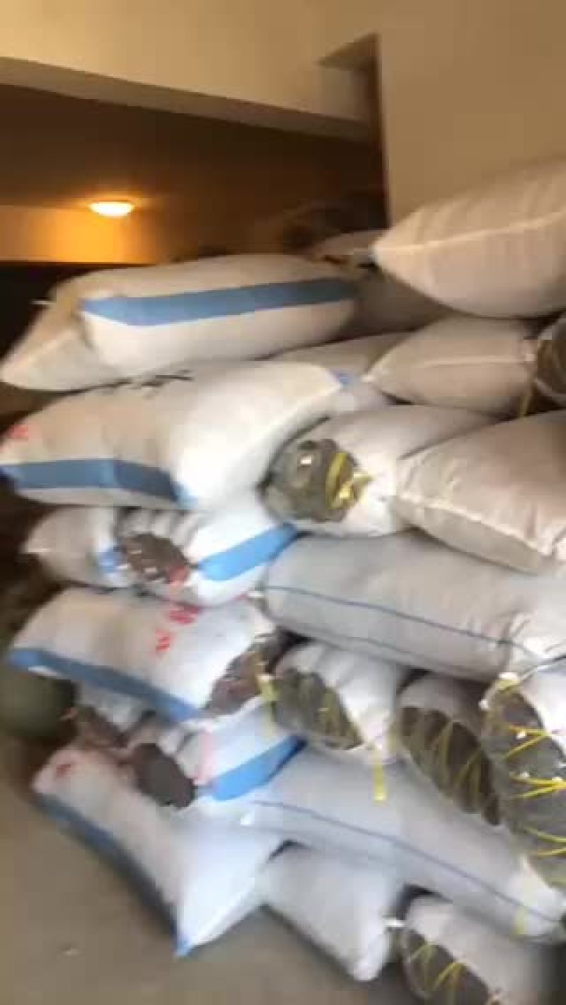 批发兼零售东北特产黑木耳