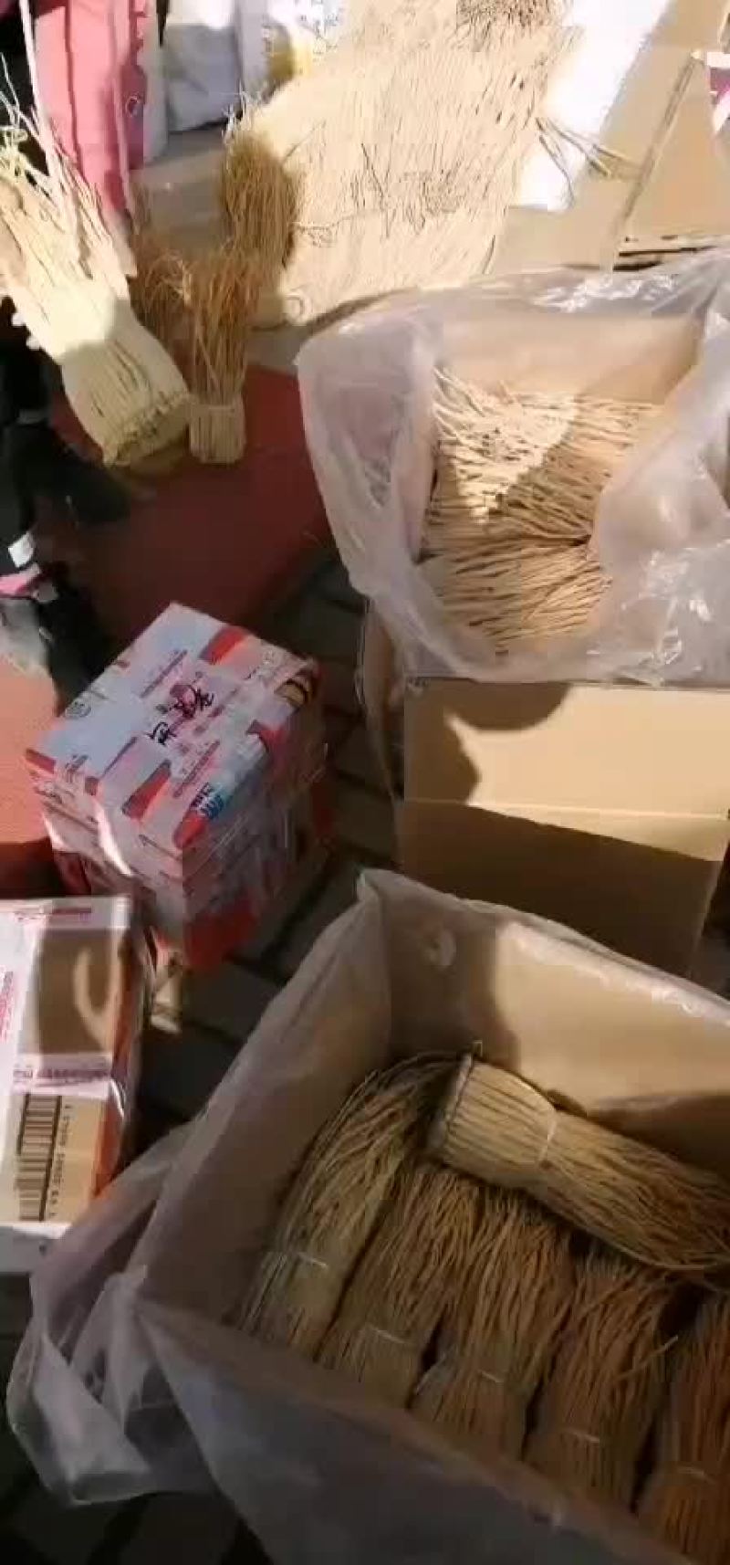 陇西党参包邮甘肃