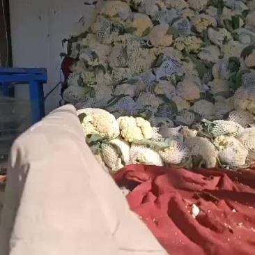 有机花菜