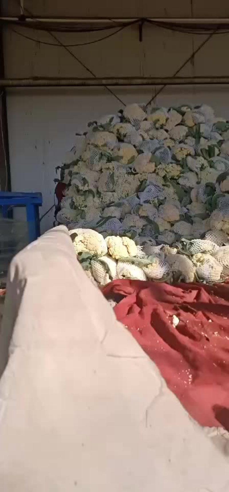 有机花菜