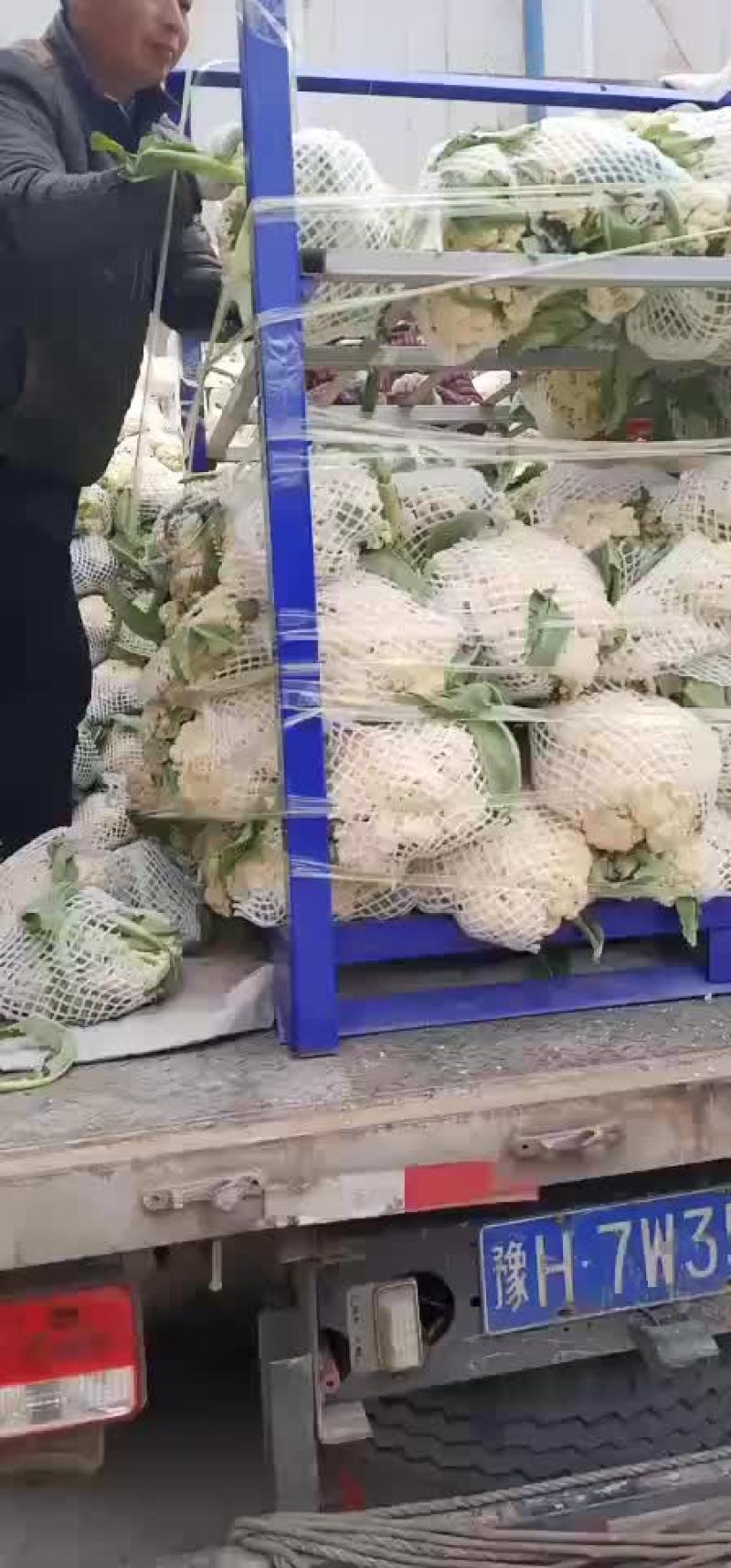 有机花菜