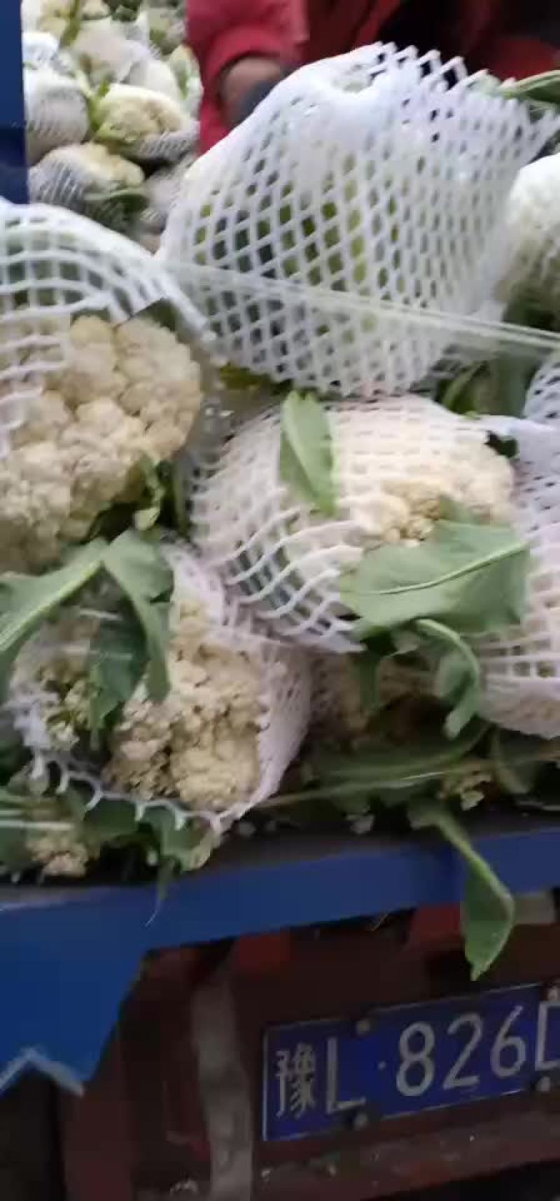 有机花菜