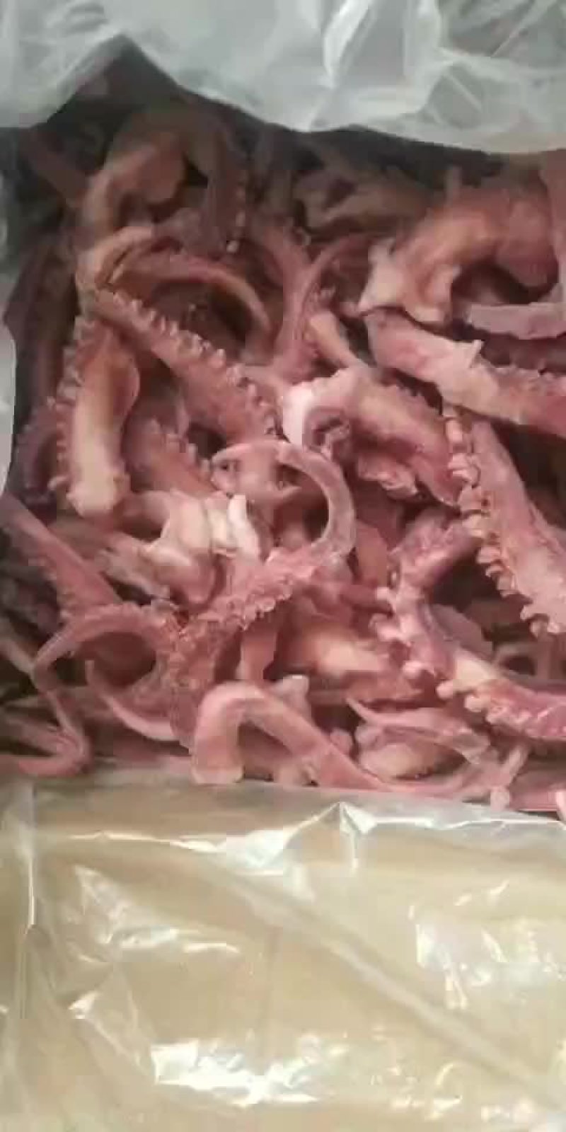 脆口章鱼须