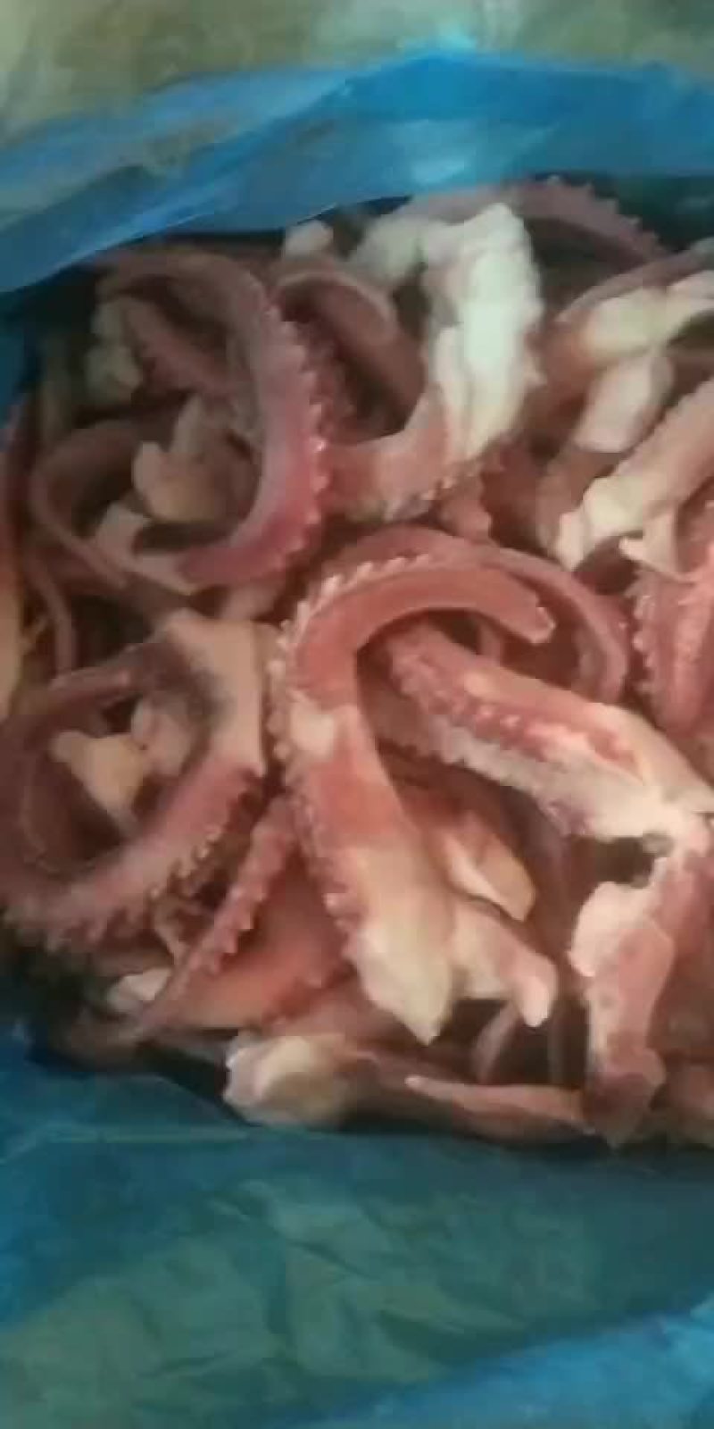 脆口章鱼须