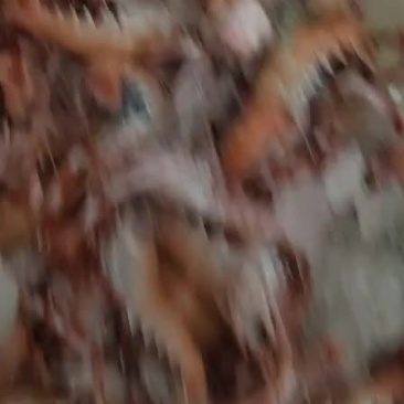 海龙虾