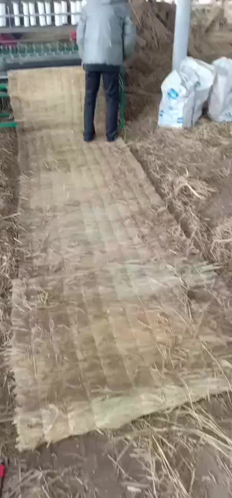 草帘子，产地河南濮阳范县，可视频看货，定做。