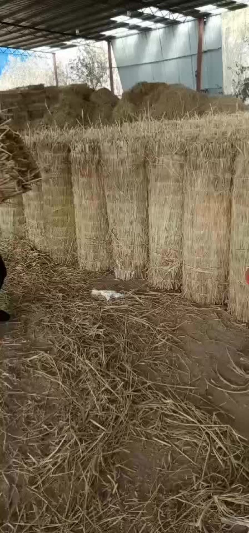草帘子，产地河南濮阳范县，可视频看货，定做。