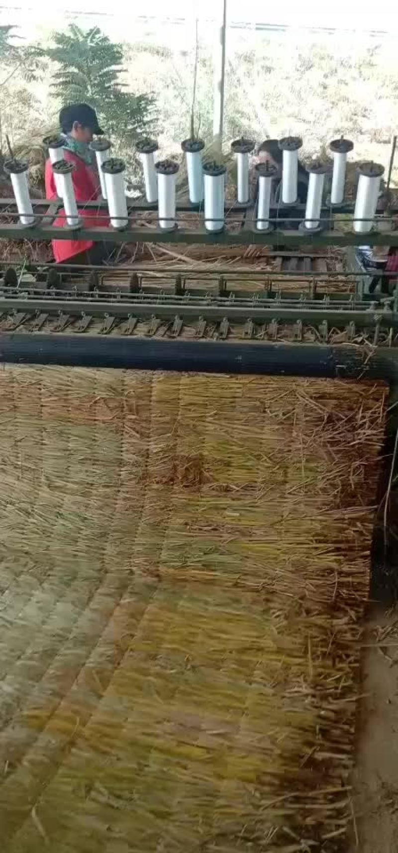草帘子，产地河南濮阳范县，可视频看货，定做。