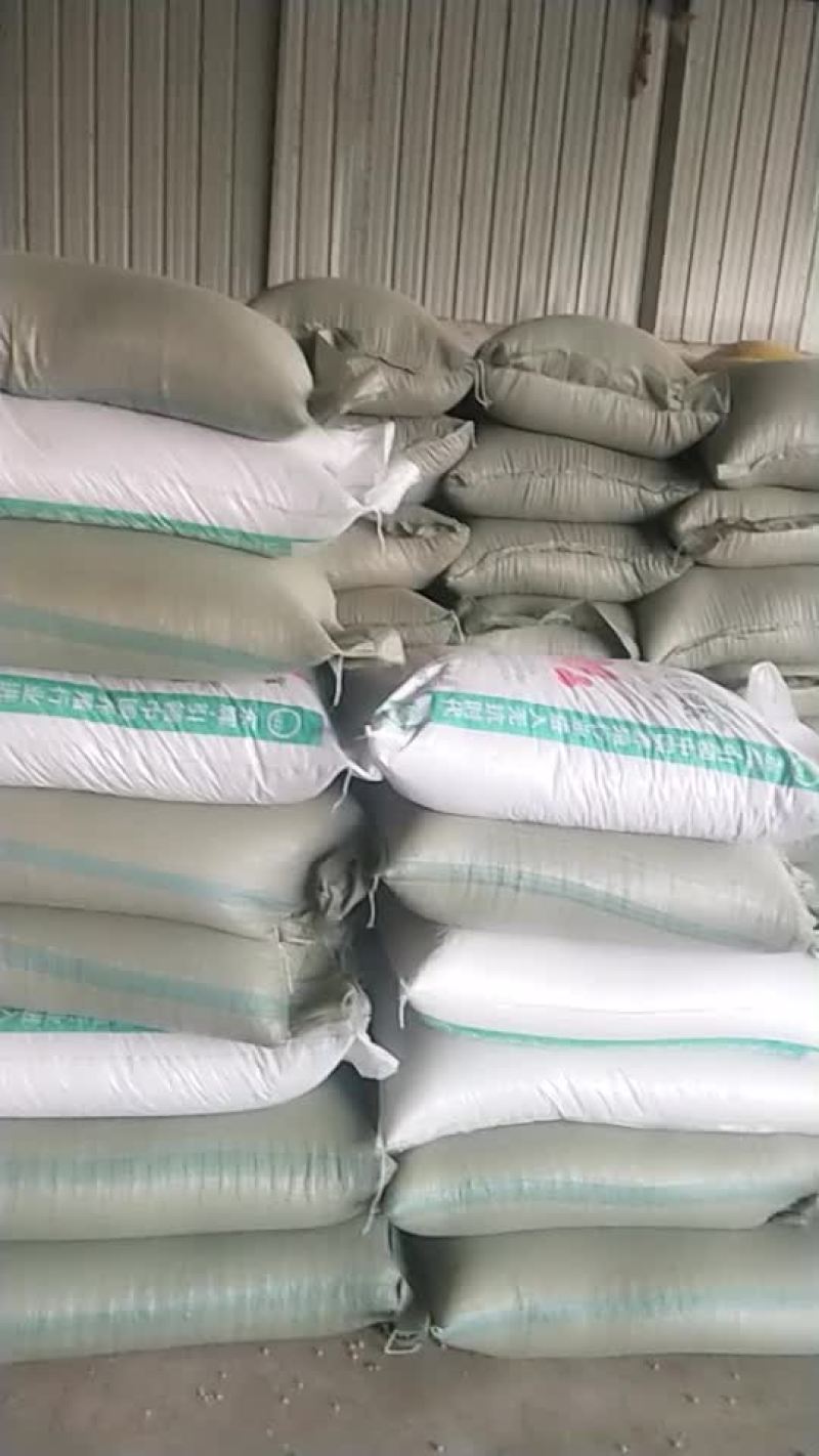 黄豆