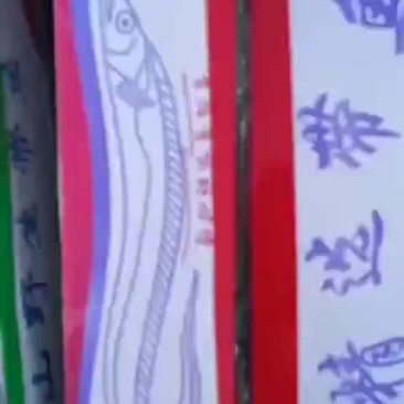 刀鱼