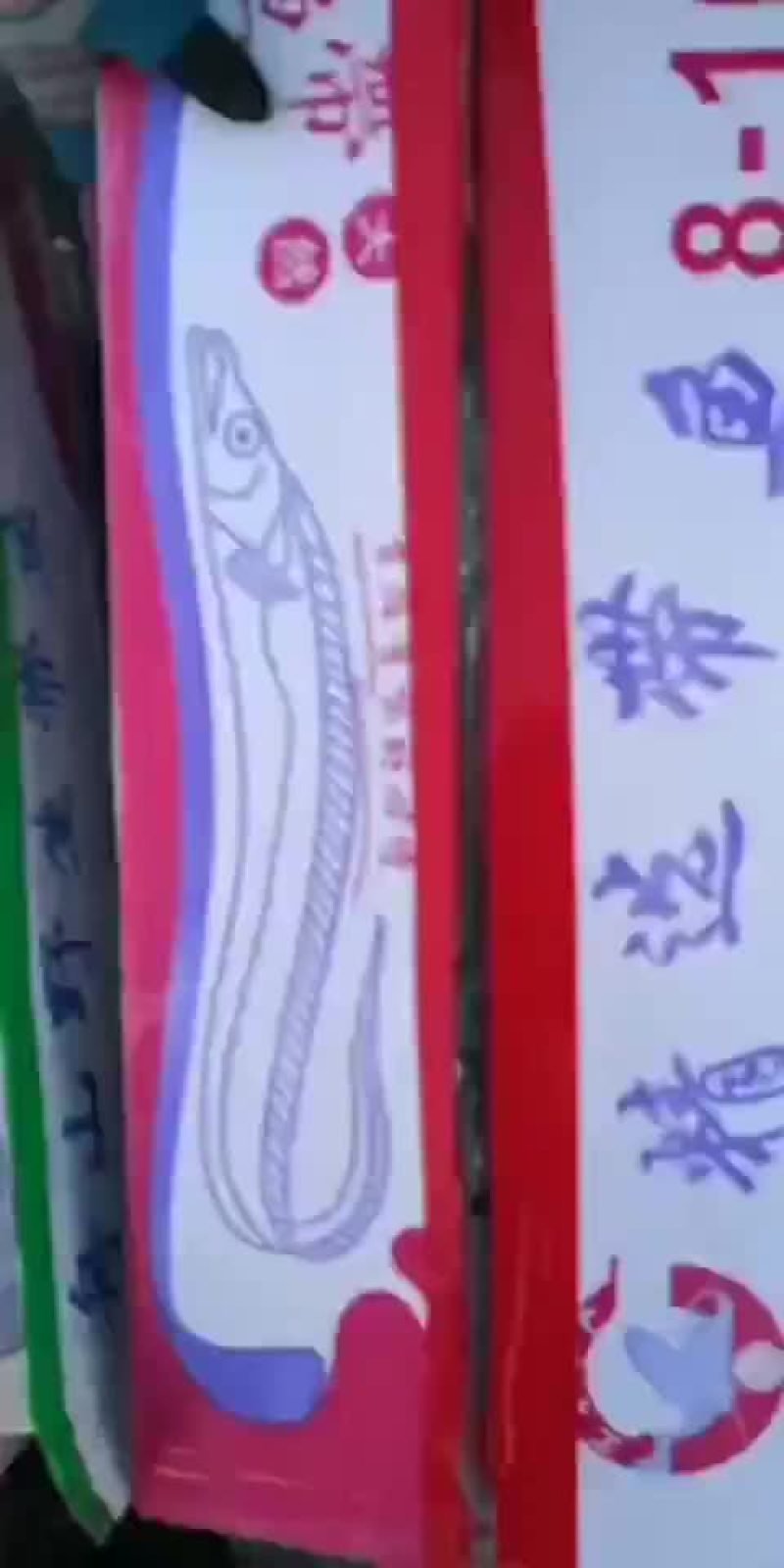 刀鱼