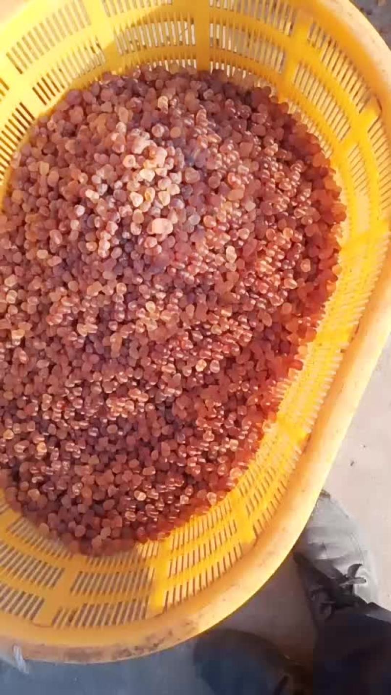 桃胶