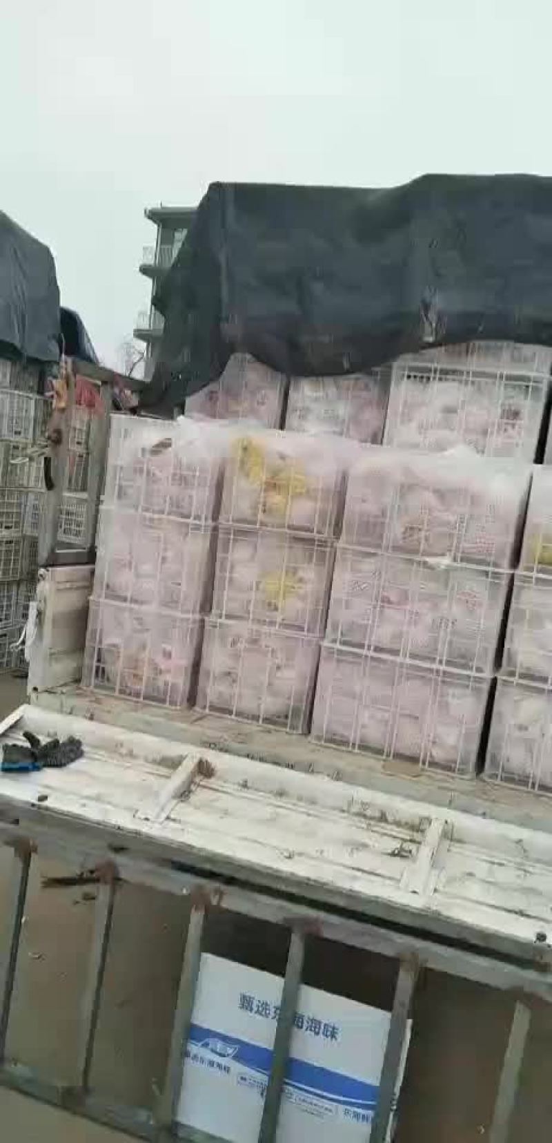 降降降价了