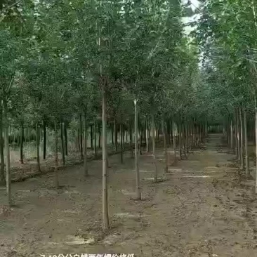 ，