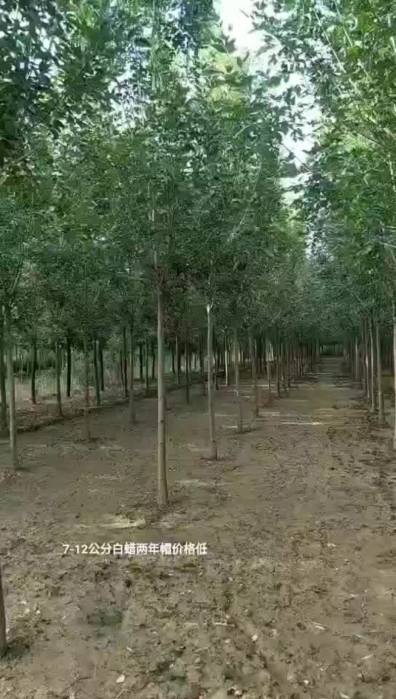 ，