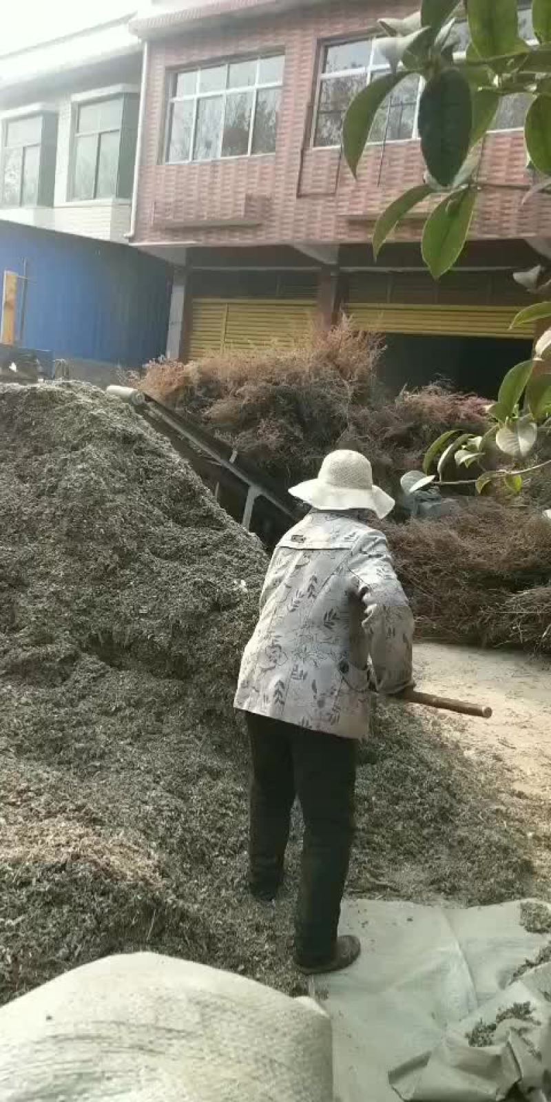 后期小艾