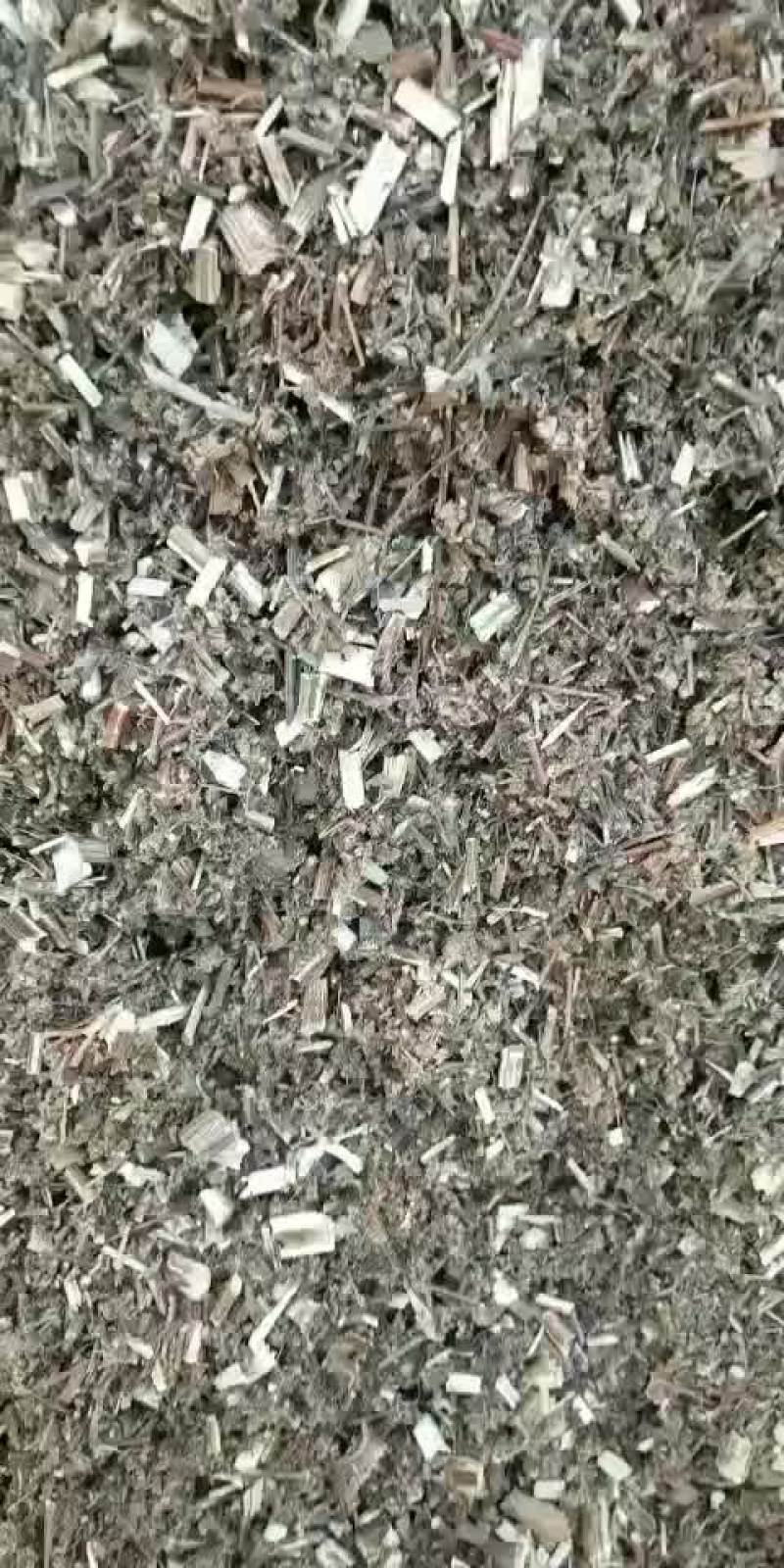 后期小艾